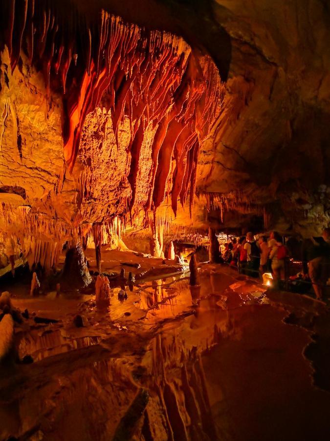 Magnifique Gite En Pierres 6 Personnes Avec Piscine Privee Ardeche Plein Sud Lablachère Eksteriør bilde